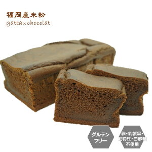 グルテンフリー ビーガン 米粉100% ガトーショコラ 福岡産米粉100% 小麦粉・卵・乳製品・動物性油不使用 アレルギー対応 ダイエット スイーツ ヴィーガン