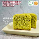 グルテンフリー ヴィーガン もちもち米粉パン 桑茶 2切れ 福岡産米粉100% グルテンフリー お菓子 小麦粉・卵・乳製品・動物性食品不使用 アレルギー対応 スイーツ