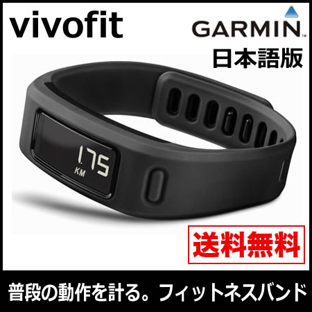 GARMIN vivofit ガーミン ヴィヴォフィット 122536 