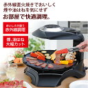 HG-100K エムケー精工 無煙ロースター ヘルシーグリル HEALTHY GRILL MK BBQ ベランピング 3