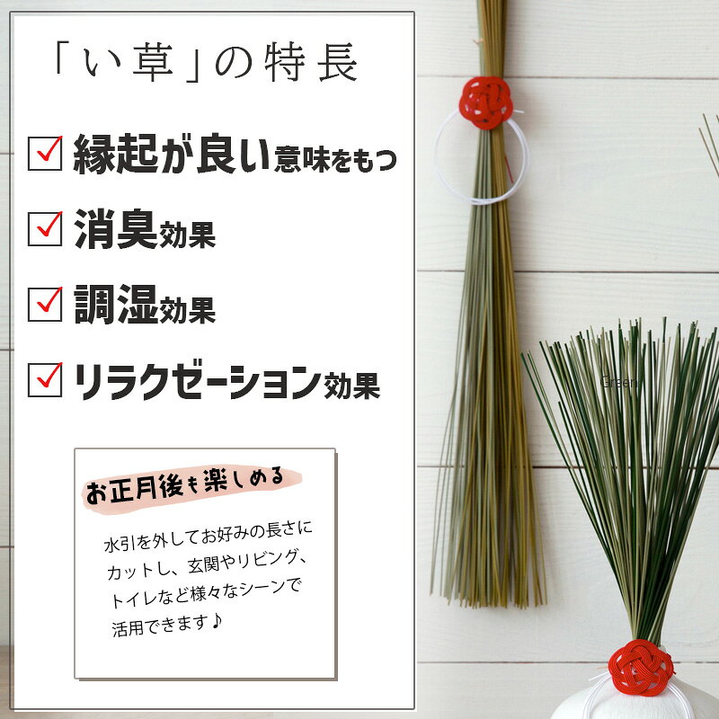 い草のお飾り(S) RD レッド 赤 長さ30cm 250009RD shesay シセイ 正月飾り 水引 イ草 消臭 シンプル [3]