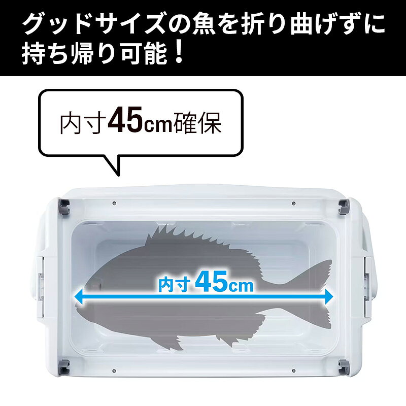 シマノ クーラーボックス ユニフリーズ TD 20L ND-420Y UNIFREEZE パールホワイト ...