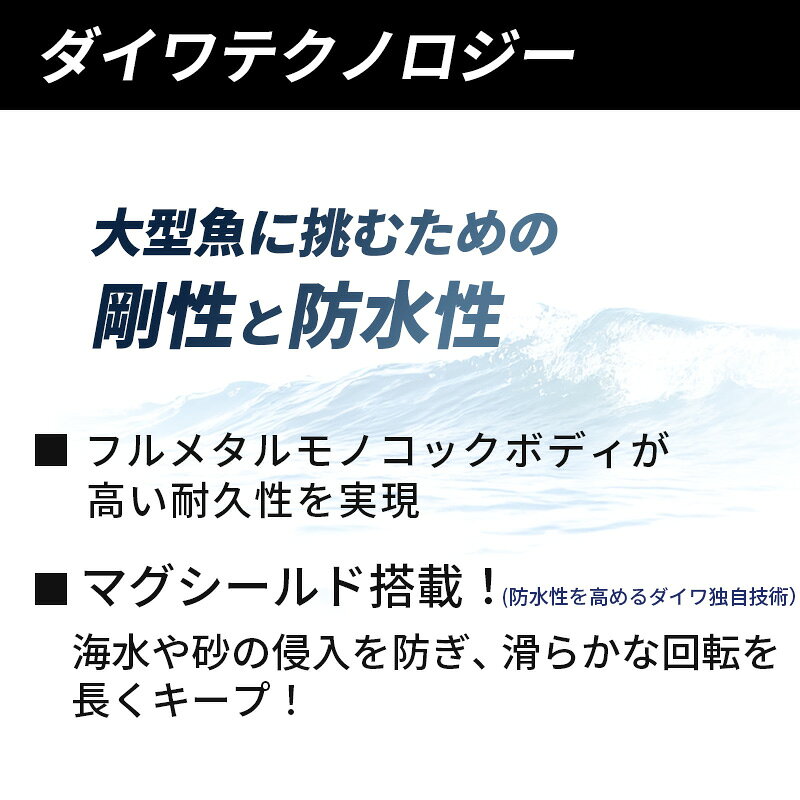 ソルティガ 25000-P の商品画像2枚目