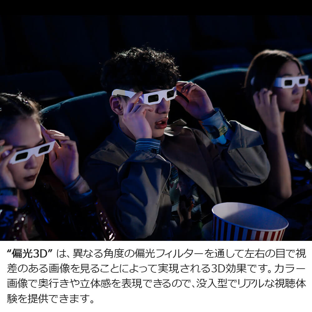 [SANTEK 3D EYEWEAR] 偏光3Dメガネ (Paper-Frame 一般サイズ) 偏光3Dメガネ 3Dメガネ 3Dテレビ 3D映画　プラスティックフレーム 軽量 レンズ素材樹脂 直線偏光(LP＝ Linear Polarizer Type)　10pcs セット