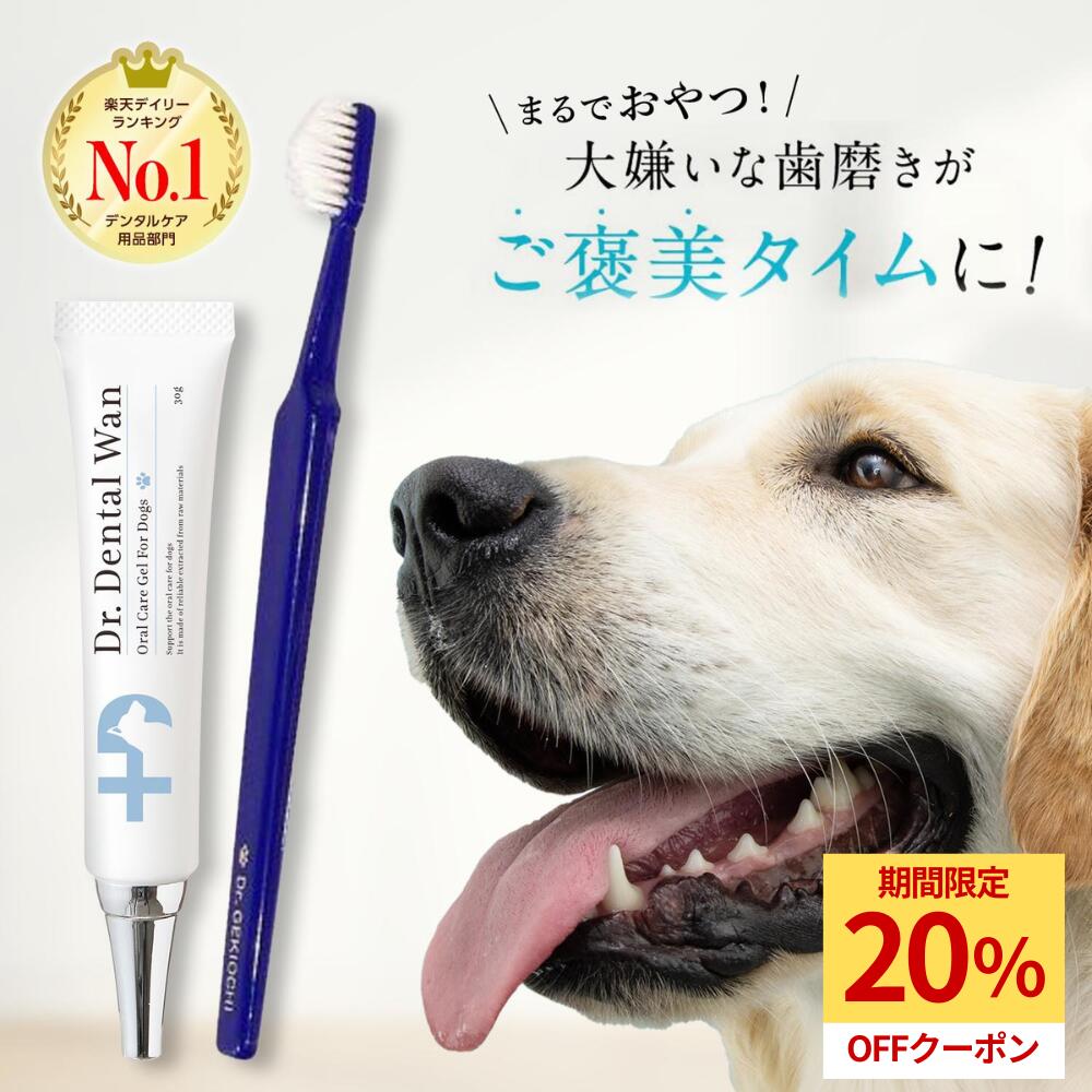 【本日限定★20%OFF】 ドクターデンタルワン ドクタースゴオチセット 犬 歯磨き 歯磨きジェル はみがき 歯石 犬口ケア 歯ブラシ 小型犬 愛犬歯磨き 愛犬...