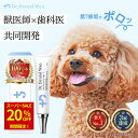 【20%OFF★スーパーSALE】ドクターデンタルワン 30g 1ヶ月分 犬 歯磨き 歯磨きジェル はみがき 歯石 犬口ケア 歯ブラシ 小型犬 愛犬歯磨き 愛犬デンタルケア 簡単 はみがき 歯垢 14種 乳酸菌配合 歯石とり 歯磨きペースト 歯石除去 ペット