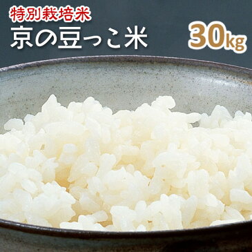 【特別栽培米】京都丹後豆っこコシヒカリ玄米30kg（1年産）