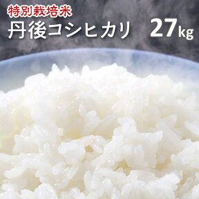 令和5年産!!【特別栽培米】京都丹後コシヒカリ白米27kg（5年産）