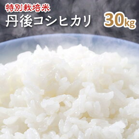 令和5年産!!【特別栽培米】　京都丹後コシヒカリ玄米30kg（5年産）