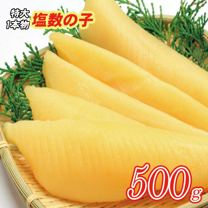 特大塩数の子500g・1本物（1本50gup・ロシア産）メール便限定商品　※メール便専用のため日付指定・代引き・ラッピングは不可※　全国送料無料【お節／お正月／数の子】代引きは別途980円