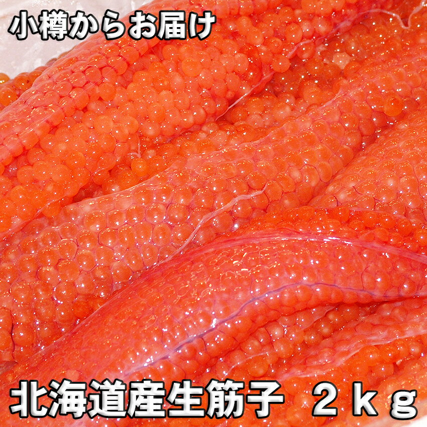 【2024予約販売】北海道オホーツク産生筋子　2kg数量限定！【秋の味覚の王様】生いくら【天然】鮭　いくら　鮭いくら…