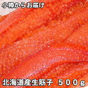 北海道オホーツク産生筋子　500g数量限定！生いくら鮭　いくら　鮭いくら