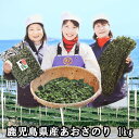 2024年産 大容量あおさのり1kg（鹿児島県産） 【沖縄 離島不可】※【全国送料無料／のり／海苔／味噌汁／あおさ】あおさ海苔