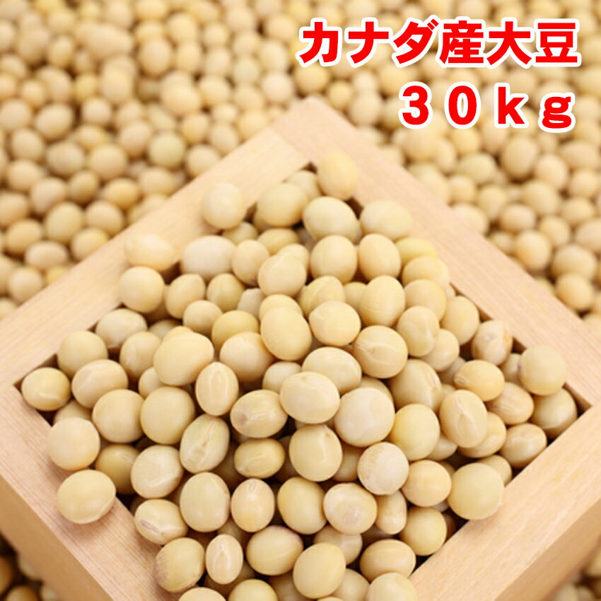 令和4年産　カナダ産大豆　30kg《非遺伝子組み換え》ALLMIGHTY　佐川急便発送／沖縄離島は不可になります