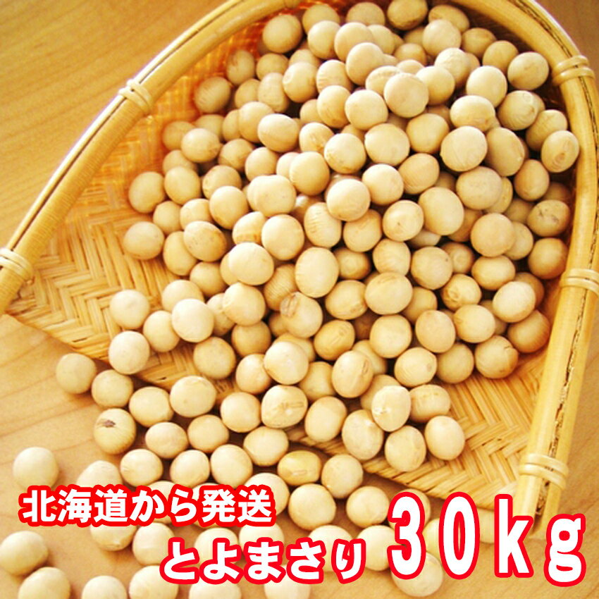 北海道産 黒千石大豆 1kg