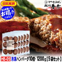 母の日 プレゼント おかあさん ありがとう 感謝 【送料無料】ハンバーグ 10個 1200g 5セット 日本食研送料無料 お試し お取り寄せグルメ ギフト のし 心ばかり 御礼 内祝い お誕生日 プレゼント 喜寿 お慶び 結婚祝い お見舞 粗品 出産祝い 食品備蓄 差し入れ