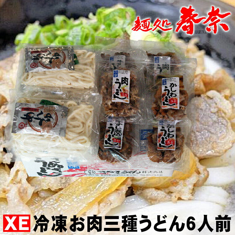 父の日 プレゼント お父さん ありがとう 感謝 讃岐うどん 冷凍 肉うどん かしわ 牛すじ 煮込み 6人前 【XE】送料無料 お試し さぬきうどん お取り寄せグルメ ギフト のし 心ばかり 御礼 内祝い お誕生日 喜寿 お慶び 結婚祝 お見舞い 粗品 食品備蓄 差し入れ