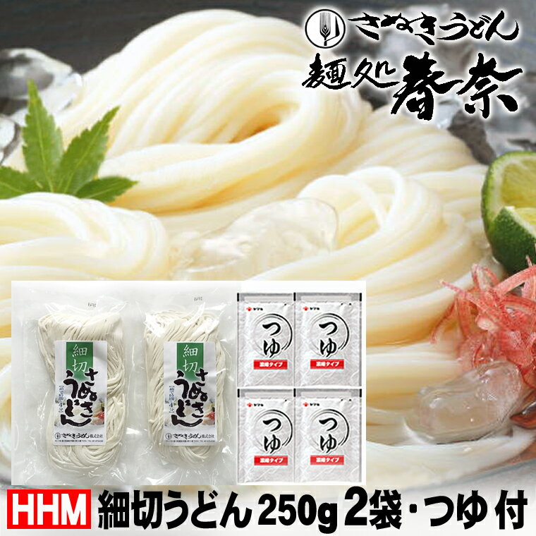 送料無料 【HHM】細切うどん（250g）×2袋・つゆ付 ゆうパケット お届け お日持 常温40日お試し 讃岐うどん 生うどん 4人前 直送便お取り寄せグルメ ギフト 心ばかり 御礼 食品備蓄
