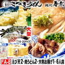 お中元 夏ギフト 夏の贈りもの 夏の美味 ご挨拶 冷凍うどん 讃岐うどん 6人前 直送便えび天 2 肉うどん 2 大判 お揚げ 1送料無料 さぬきうどん お取り...