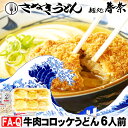 お中元 夏ギフト 夏の贈りもの 夏の美味 ご挨拶 冷凍うどん 讃岐うどん 6人前 直送便 牛肉コロッケ 6 送料無料 お試し さぬきうどん お取り寄せグルメ ギ...