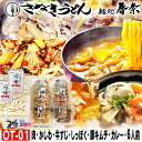 お中元 夏ギフト 夏の贈りもの 夏の美味 ご挨拶 讃岐うどん 冷凍 肉うどん かしわ 牛すじ煮込み しっぽく カレー 6人前 【OT-01】送料無料 さぬきうどん ギフト のし 心ばかり 御礼 内祝 お誕生日 喜寿 お慶び 結婚祝 お見舞い 粗品 出産祝 食品備蓄 差し入れ