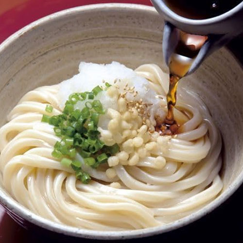 Rakuten - 讃岐包丁切りうどん 冷凍うどん 1食230g 10食/20食 本場讃岐うどん ゆでうどん 冷凍麺 コシの強いうどん 香川