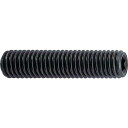 TRUSCO(トラスコ) 六角穴付止めネジ スチール製 くぼみ先 径2×長さ10mm 27本入 B31-0210(3)