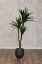 リアルなフェイクグリーン ユッカ フェイクグリーン 大型 観葉植物 180cm おすすめ リアル 造花 お洒落 インテリア 安い 大きい 造花 天然木 アート 枯れない