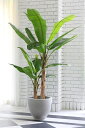 リアルなフェイクグリーン バナナツリー(大)フェイクグリーン 大型 観葉植物 200cm おすすめ リアル 造花 お洒落 インテリア 安い 大きい 造花 天然木 アート 枯れない 人工観葉植物 樹木オーナメント 大型ディスプレイ プレゼント ギフト