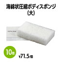 楽天 海綿状圧縮ボディスポンジ (大) 体洗い 浴用スポンジ ボディウォッシュ バスグッズ ホテル 旅館 アメニティ スパ レジャー 温泉 温浴施設 宿泊施設 ...