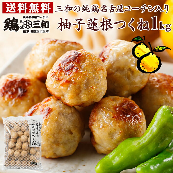 【ふるさと納税】 サラダチキン ドライフルーツ味 500g 50g×10袋 国産 鶏肉 おかず 小分け ダイエット 冷凍 タンパク質 トレーニング アマタケ 限定 抗生物質 オールフリー 抗生物質不使用 保存食 むね肉 置き換え 低カロリー 1万円 10000円