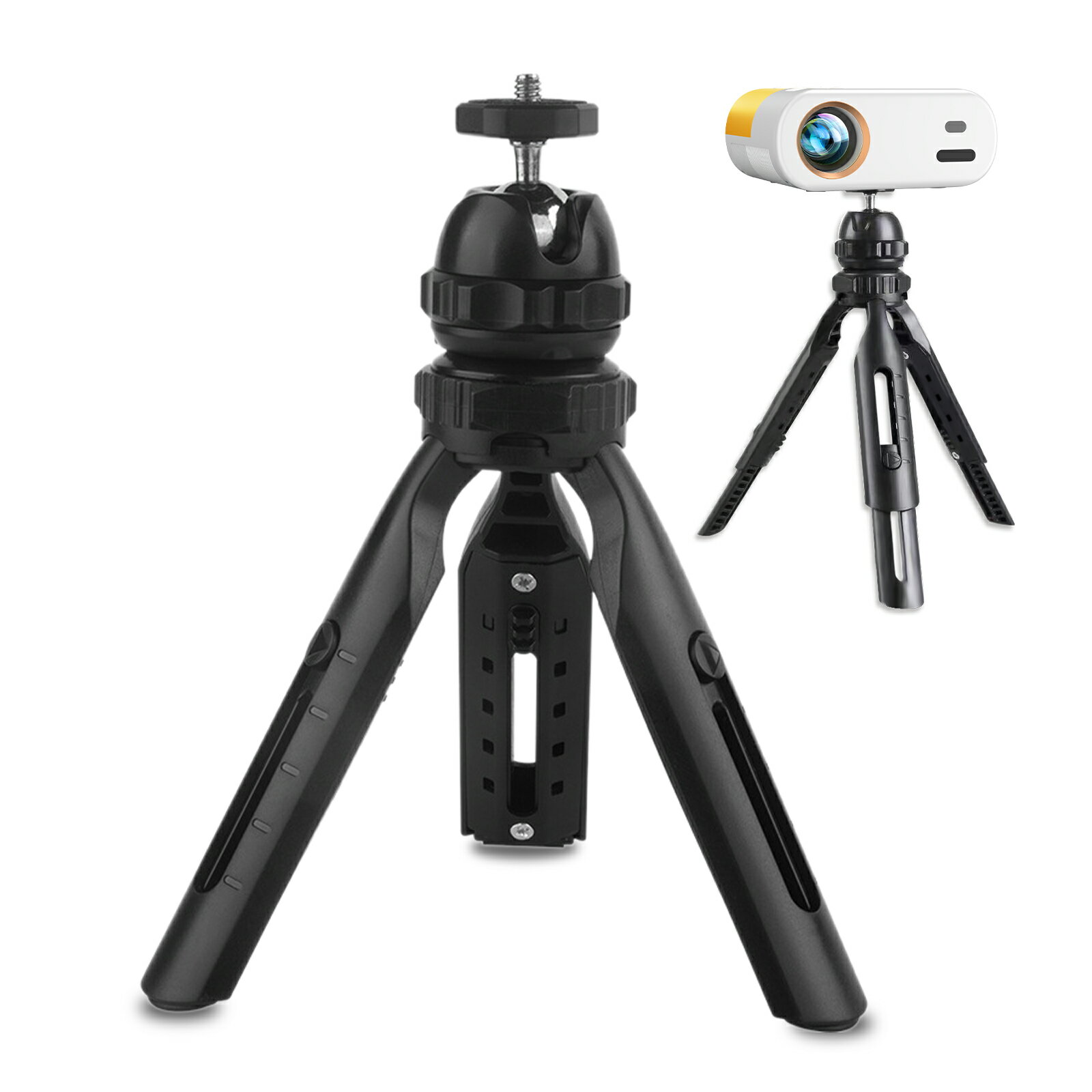 【月末限定5％クーポ