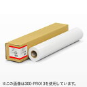 プロッター用紙・ロール紙(印画紙・1067mm×30.5m・42インチロール)