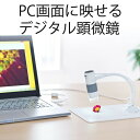 【本日20時開始！10%OFFクーポン配布中】顕微鏡 デジタル スタンド USB接続 簡単 自由研究 ...