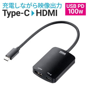 Type-C to HDMI Ѵ֥ USB Type C-HDMIѴץ 4K/60Hz HDRб PD100W ֥Ĺ20cm iPad Pro Air Nintendo Switch ͭELǥб ֥å