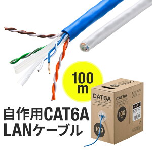 LAN֥  100m CAT6A ֥Τ ®10Gbps Ӱ500MHz 󥺥ޡ