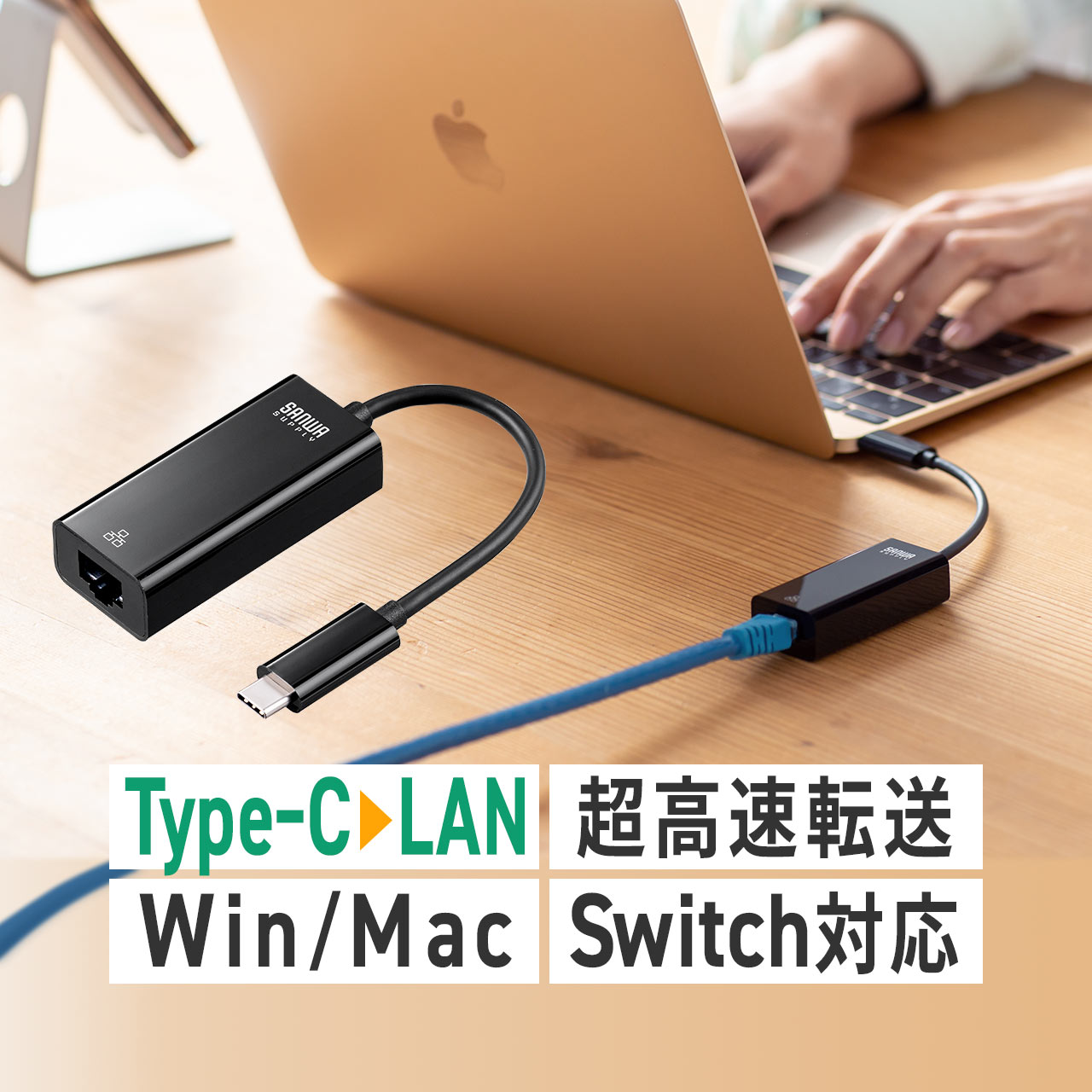 【楽天1位受賞】USB Type-C 有線LAN 変換アダプタ Nintendo Switch イーサネットアダプタ MacBook Chro..