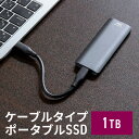 ポータブルSSD 外付け USB3.2 Gen2 1TB 最大書込速度約1000MB/s 小型 テレビ録画 PS5/PS4/Xbox Series X Type...