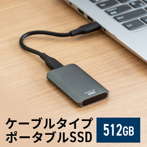 ݡ֥SSD դ USB3.2 Gen2 512GB ®540MB/s  ƥϿ PS5/PS4/Xbox Series X Type-A/Type-C