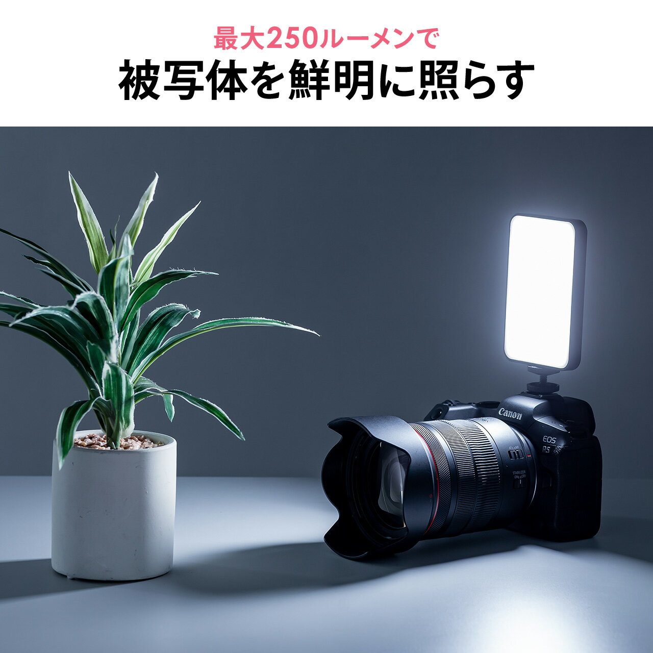 LED���ƥ饤�� ���ޥ� ������б�/���Ӽ��ղ�ǽ 250�롼��� ���� ���ż� ���ȥ꡼�ߥ󥰥饤�� �����ֲ�� ���� �ۿ��� zoom ����饤���� ��⡼�Ȳ�� ����饤������ �ե������饤�� �����֥���� �ƥ��� ��⡼�ȥ��