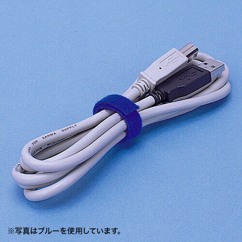 �����֥륿�����̥ե����ʡ�����åɡ�1.5m�� CA-MF5RN ����掠�ץ饤