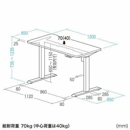 電動昇降デスク 昇降式デスク 昇降デスク パソコンデスク 作業台 e電動昇降デスク 幅120cm 奥行65cm メモリー機能付 ブラック 【受注生産品】 ERD-ER12065BK サンワサプライ