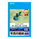 【本日限定:最大3000円OFFクーポン配布中!】インクジェット写真印画紙 特厚 L判 100枚入り JP-EP2NLN サンワサプライ