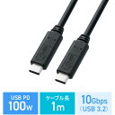 USB Type-CP[u 1m USB3.2 Gen2 USB PD 20V/5A 100WΉ ubN