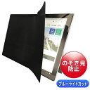 覗き見防止フィルム iPad 10.9インチ ブルーライトカット プライバシーフィルター 左右のぞき見防止 全面対応 タッチパネル対応(2)