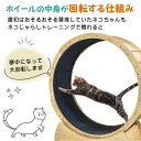 キャットホイール 猫 ランニングホイール ペットホイール ストッパ一付き 自走式 運動不足解消 ダイエット 低騒音 怪我防止 小型犬 ネコ
