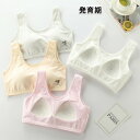 3枚入り スポーツブラ 中学生 ブラジャー ジュニア スポブラ 下着 ハーフトップ アツギ ハイジュニ ファーストブラ ノンワイヤー 小さいサイズ 大きいサイズ ジュニアインナー 機能性インナー ズレにくい M・3XL スクールインナー
