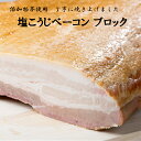 無添加 塩こうじベーコン ブロック 国産 食品添加物不使用 無加水 塩こうじ ベーコン 豚肉 豚 兵庫県産ポーク グルメ お取り寄せ おうちごはん 約200g 2P