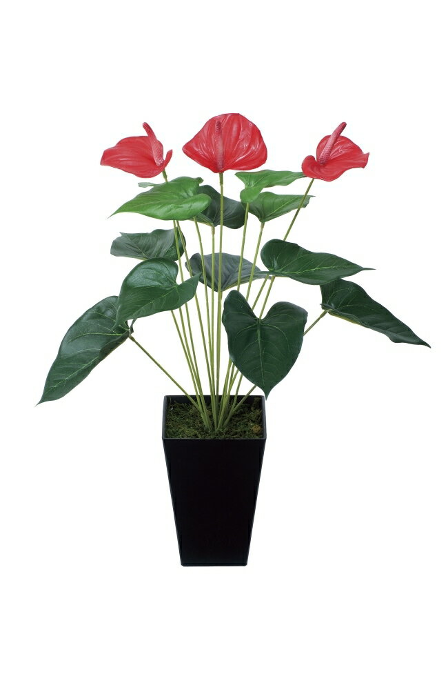 光触媒 光の楽園 アンスリューム 437K45約 幅35×奥行35×高さ53cm人工植物 造花 フェイクグリーン おしゃれ インテリア 小型 卓上