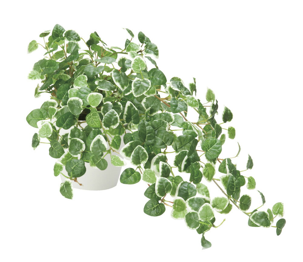 光触媒 光の楽園 プミラ557H70人工植物 造花 フェイクグリーン おしゃれ インテリア コーナー＆壁面タイプ 屋内対応型約 幅40×奥行30×高さ25cm